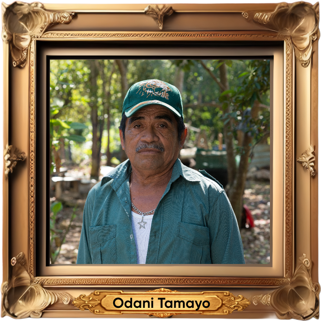 Odani Tamayo