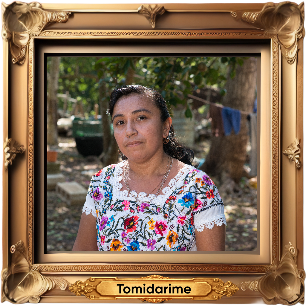 Tomidarime