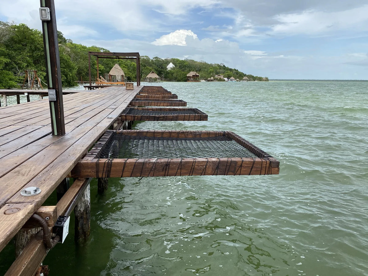 Vista del muelle de madera con una secuencia de redes rectangulares suspendidas sobre el agua de la laguna.
