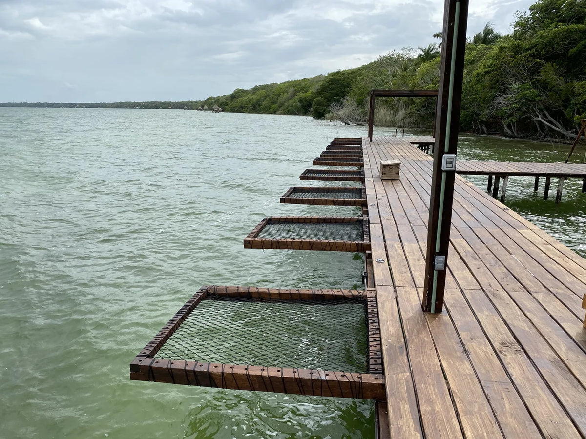 Perspectiva del muelle y de las redes junto a la vegetación de la orilla.