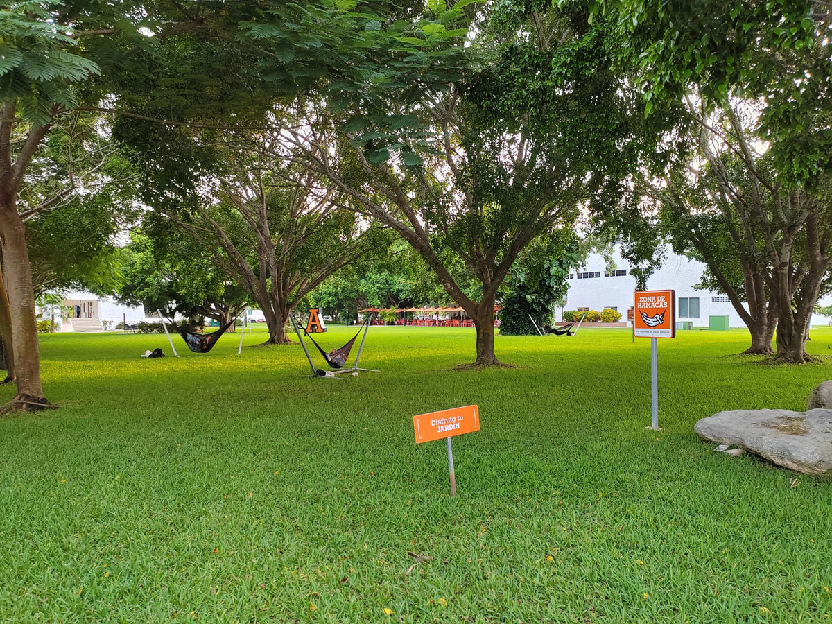 Hamacas instaladas sobre bases metálicas en un jardín amplio bajo árboles.