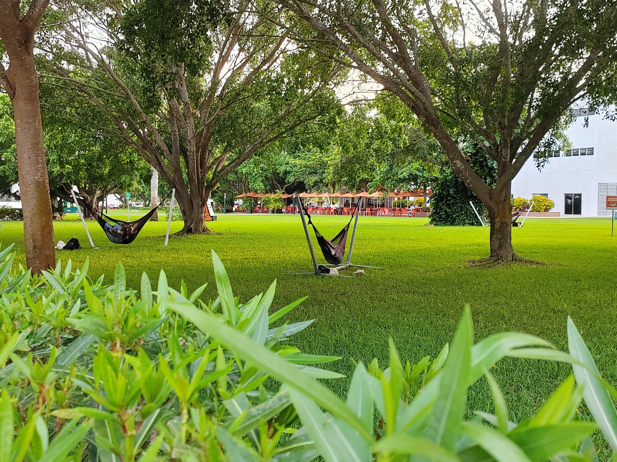 Vista de las hamacas del jardín a través de la vegetación del primer plano.