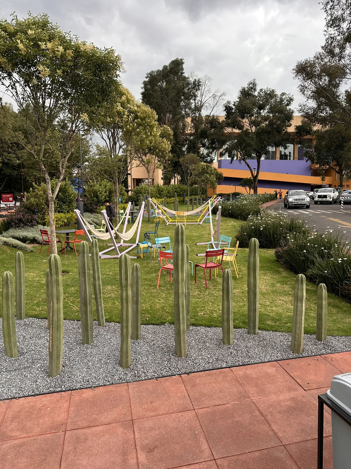 Jardín del campus con árboles, senderos y hamacas de colores al fondo.